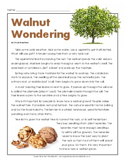 Article: Wonderful Walnuts Reading Comprehension Worksheet