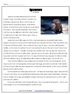 Iguanas Reading Comprehension Worksheet