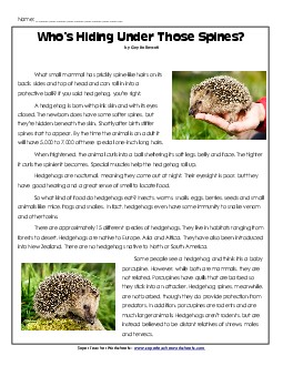 Hedgehogs Reading Comprehension Worksheet