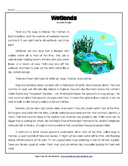 Wetlands (Article) 4th Grade Reading Comprehension Worksheet