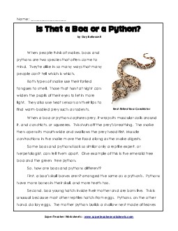 Boas and Pythons 4th Grade Reading Comprehension Worksheet