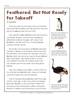 Flightless Birds (Article) 4th Grade Reading Comprehension Worksheet