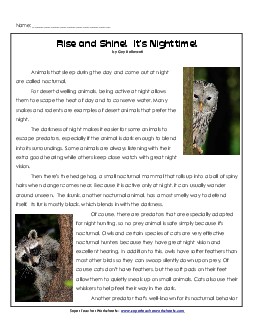 Nocturnal Animals Reading Comprehension Worksheet