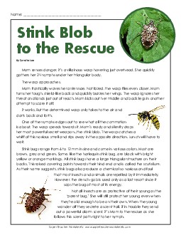 Stink Bugs Reading Comprehension Worksheet