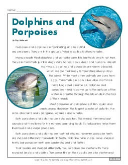 Dolphins and Porpoises 4th Grade Reading Comprehension Worksheet