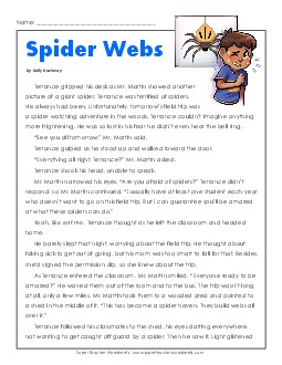 Spider Webs 4th Grade Reading Comprehension Worksheet