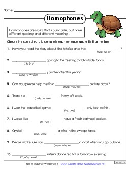 Homophones 1 Worksheet