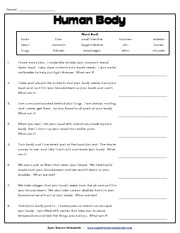 Human Body Questions Worksheet