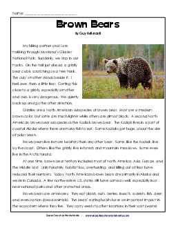 Brown Bears 5th Grade Reading Comprehension Worksheet