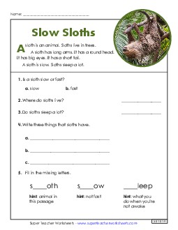 Sloths (Short) 1st Grade Reading Comprehension Reading Comp Short Worksheet