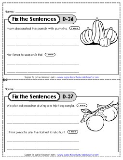 Fix the Sentences D-36 through D-40 Worksheet