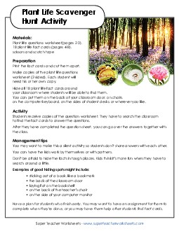 Plant Life Scavenger Hunt Science Worksheet