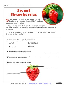 Sweet Strawberries (Short Article) 1st Grade Reading Comprehension Reading Comp Short Worksheet