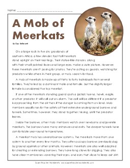 A Mob of Meerkats 5th Grade Reading Comprehension Worksheet