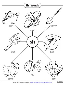 Anchor Chart (Sh- Words) Phonics Digraphs Worksheet