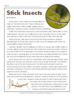 Stick Insects  6th Grade Reading Comprehension Worksheet