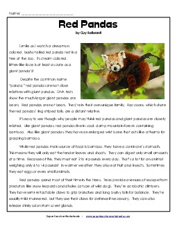 Red Pandas 5th Grade Reading Comprehension Worksheet