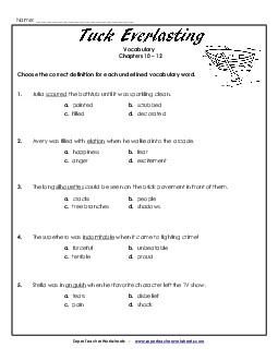 Vocabulary for Chapters 10 - 12 Book Tuck Everlasting Worksheet