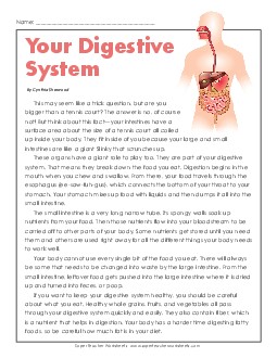 Article: Your Digestive System 6th Grade Science Worksheet