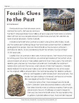 Fossils Article & Questions 6th Grade Reading Comprehension Science Worksheet