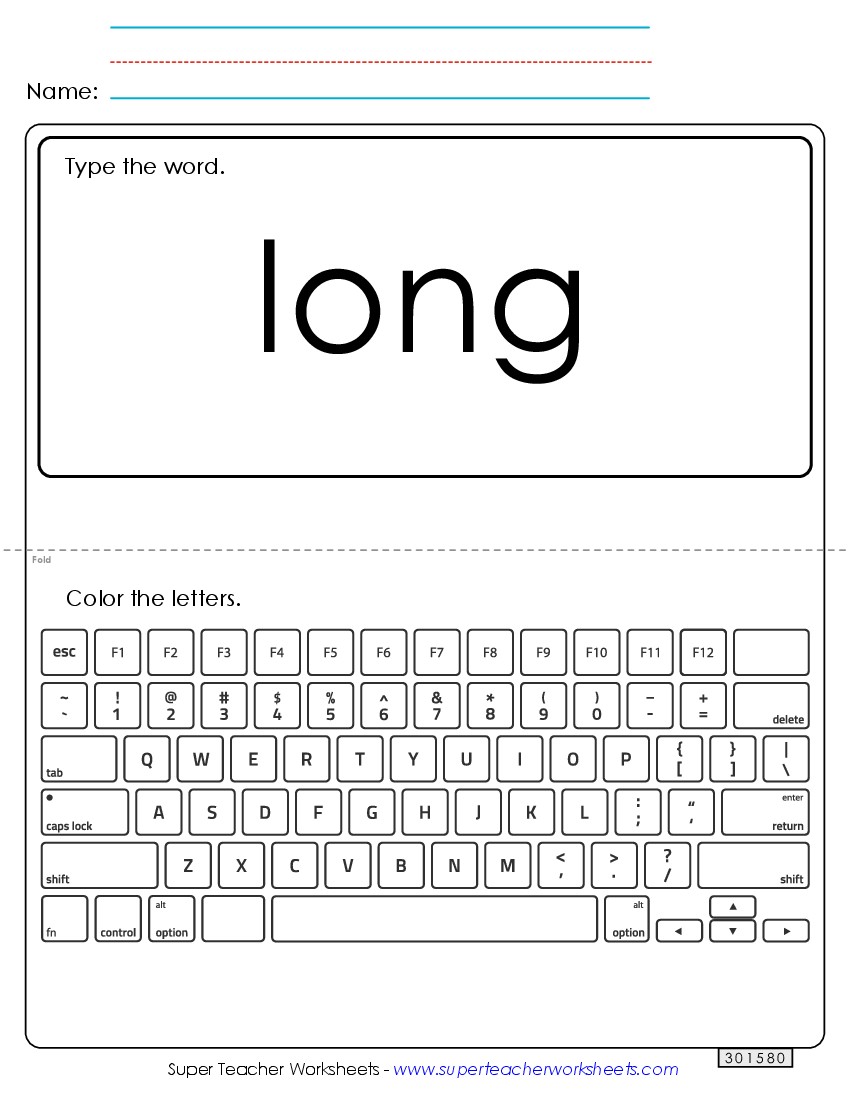 Type the Word: Long Sight Words Individual Worksheet