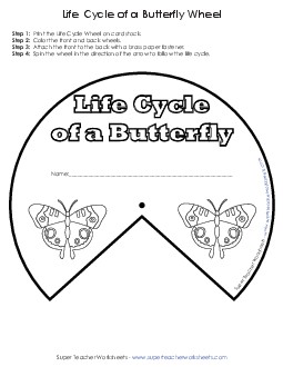 Butterfly Life Cycle Wheel Free 1st Grade Science Worksheet