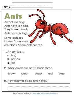 Ants Reading Comprehension Reading Comp Kindergarten Worksheet