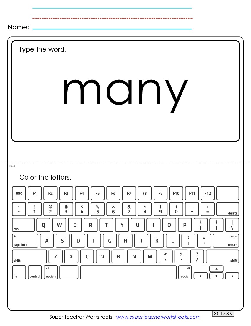 Type the Word: Many Sight Words Individual Worksheet