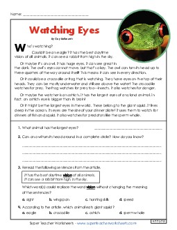 New Eyes and Vision (Short Article) Reading Comprehension Worksheet