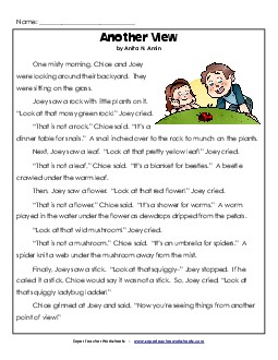 Another View Free 2nd Grade Reading Comprehension Worksheet