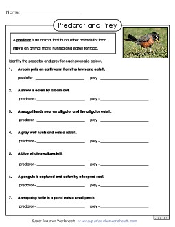 Predator and Prey Worksheet Free 4th Grade Science Worksheet