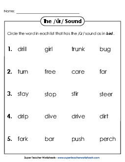 Circle the Word: /ûr/ Spelled <i>er</i>, <i>ir</i>, <i>ur</i> Free Phonics R Controlled Vowels Worksheet