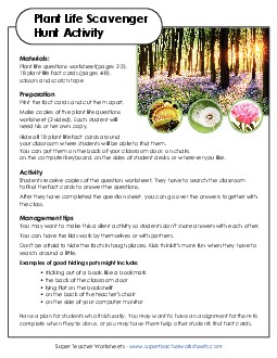 Scavenger Hunt: Plant Life 1st Grade Science Worksheet