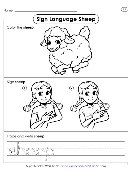 New Sheep Worksheet New Sheep Worksheet