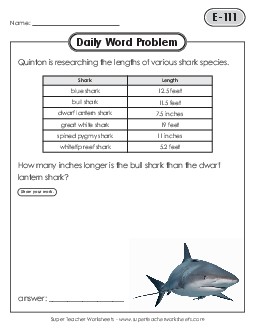 Daily Word Problems  E-111 through E-115 Worksheet