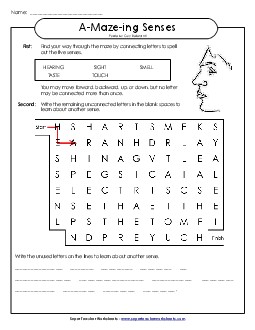 Word-Maze: 5 Senses A Maze Ing Worksheet