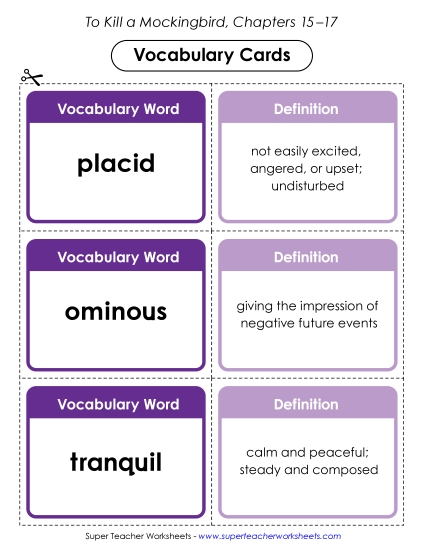 New Vocabulary Cards: Chapters 15–17 Worksheet