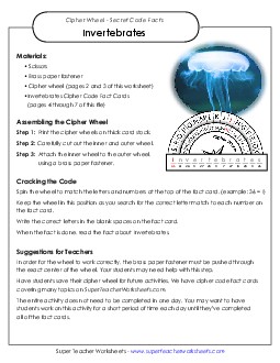 Invertebrates Worksheet