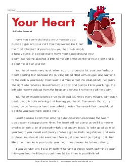 Article: Your Heart 6th Grade Science Worksheet