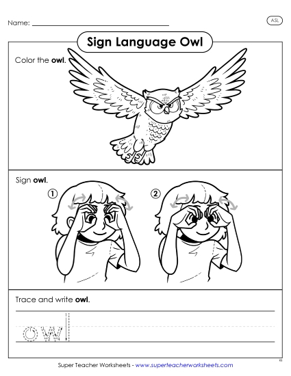 New Owl Worksheet New Owl Worksheet