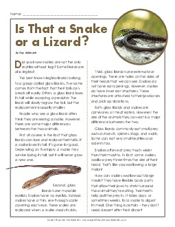 Is That a Snake or a Lizard? 3rd Grade Reading Comprehension Worksheet