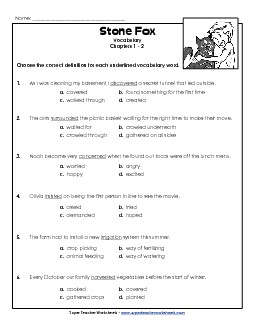 Vocabulary for Chapters 1-2 Books Worksheet