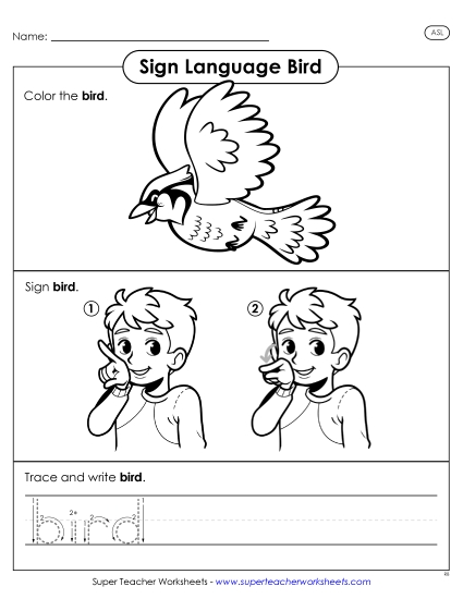 New Bird Worksheet New Bird Worksheet