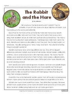 The Rabbit and the Hare 4th Grade Reading Comprehension Worksheet