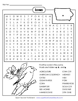 Word Search Puzzle States Individual Worksheet