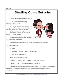 Smelling Game Surprise  1st Grade Reading Comprehension Worksheet