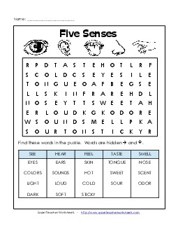 Senses Word Search Five Senses Worksheet