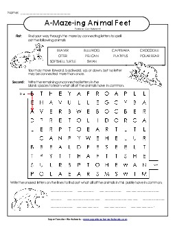 A-Maze-ing Puzzle: Webbed Feet A Maze Ing Worksheet