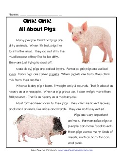 Oink! Oink! All About Pigs 1st Grade Reading Comprehension Worksheet