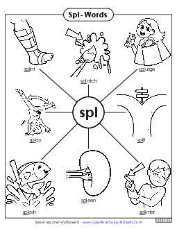 Spl- Words Phonics Blends Worksheet